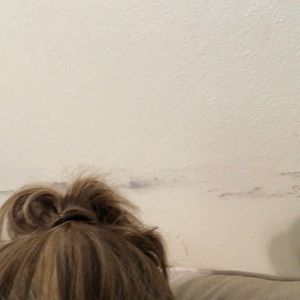 Meet your Posher, Minerva